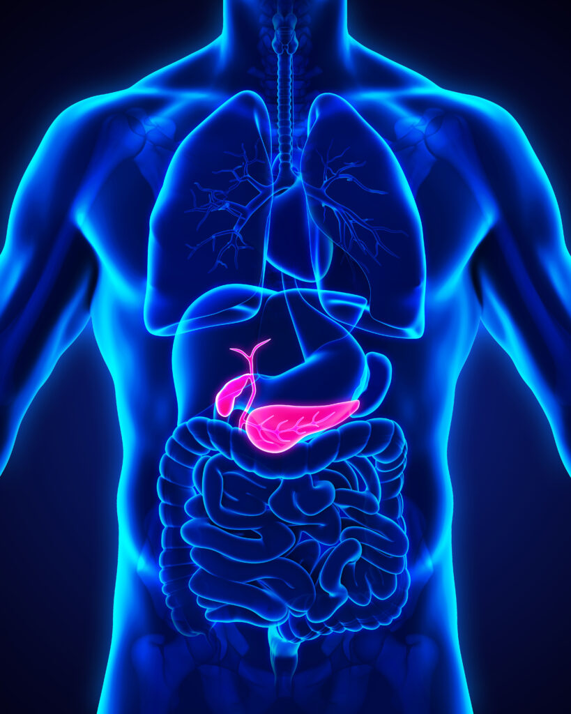 Pancreas image in body